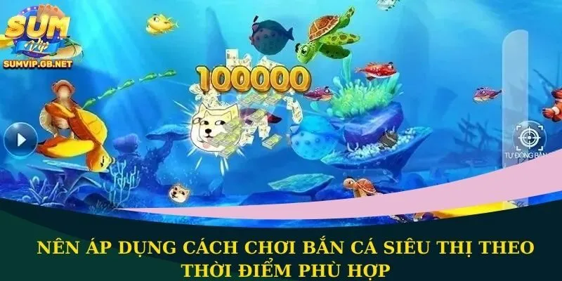 Nên áp dụng cách chơi bắn cá siêu thị theo thời điểm phù hợp