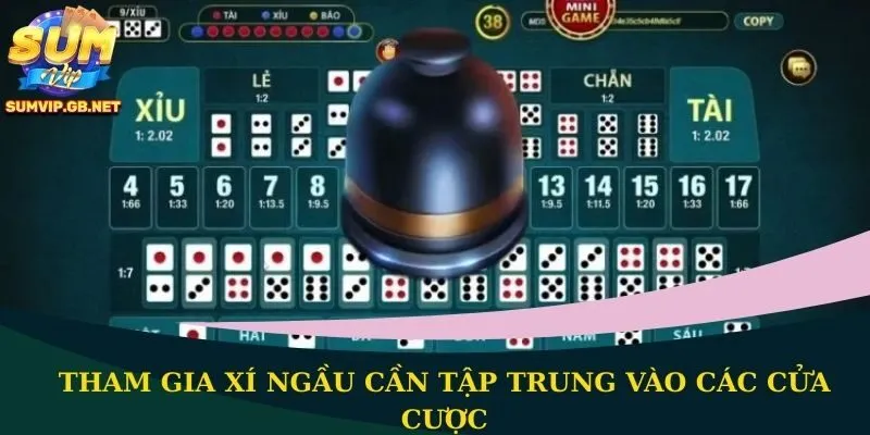 Tham gia Xí Ngầu cần tập trung vào các cửa cược